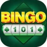 Bingo 101